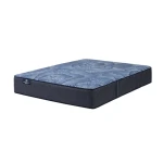 Euphoric Nights Plush Mattress