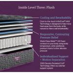 Beautyrest World Class Level Three Plush California King Beautyrest 12