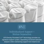 Beautyrest World Class Hybrid Level Two Medium California King All Positions 11