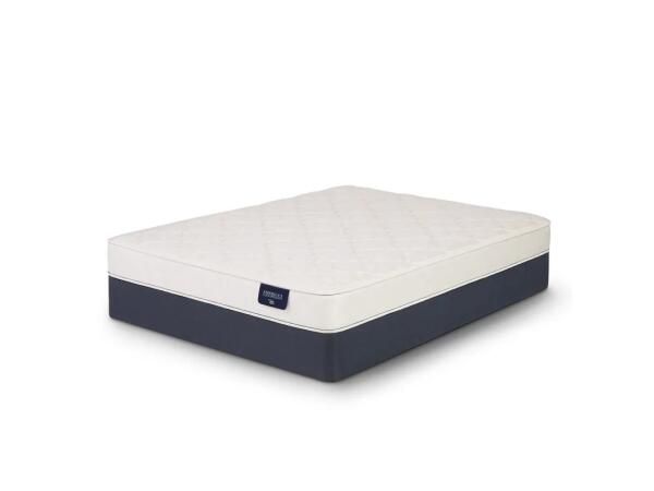 Norwood Firm Mattress Firm Back Sleeper