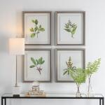 Wildflower Study Framed Prints, S/4 - Image 3