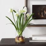 Lacey Daffodil Accent - Image 2