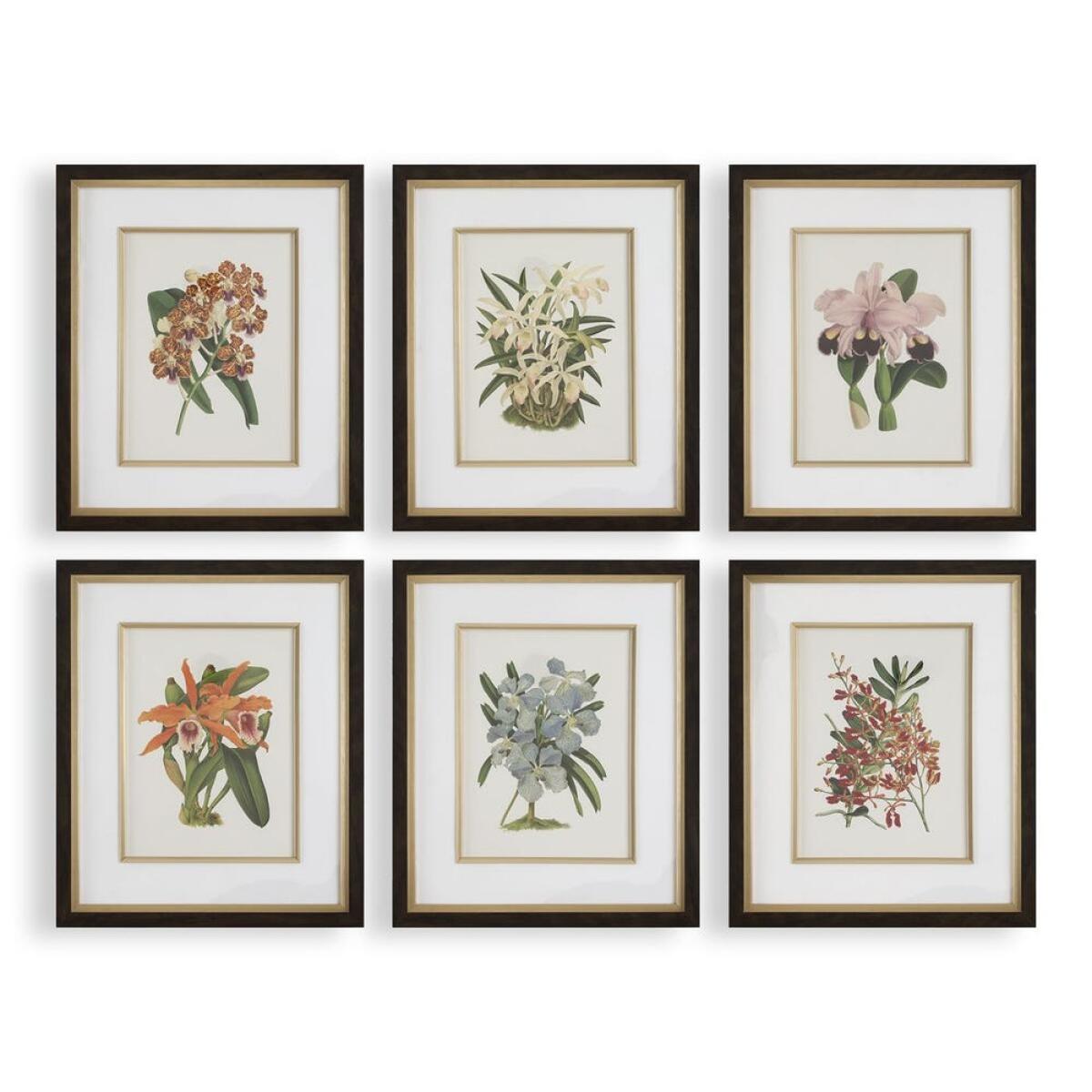 05602ed46fa95d3366cf9787642cc983 Orchid Botanical Framed Prints, S/6 - Image 1
