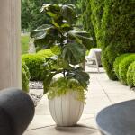 Ridgehaven Indoor-outdoor Planter - Image 3