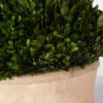 Preserved Boxwood Oval Domes, S/2 Accessories Accessories 15