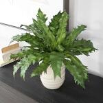 Verdure Fern - Image 3