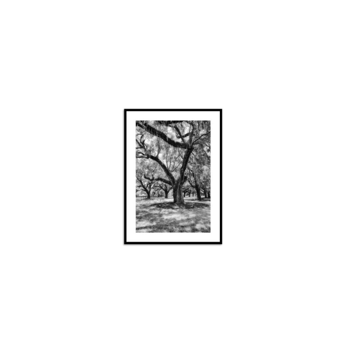 0c3c74524835d3995f529e86cdb1b433 Among Friends - Image 1