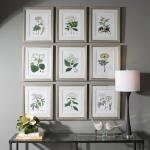 Antique Botanicals Framed Prints, S/9 - Image 3