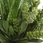 Sundown Succulent Accent - Image 5