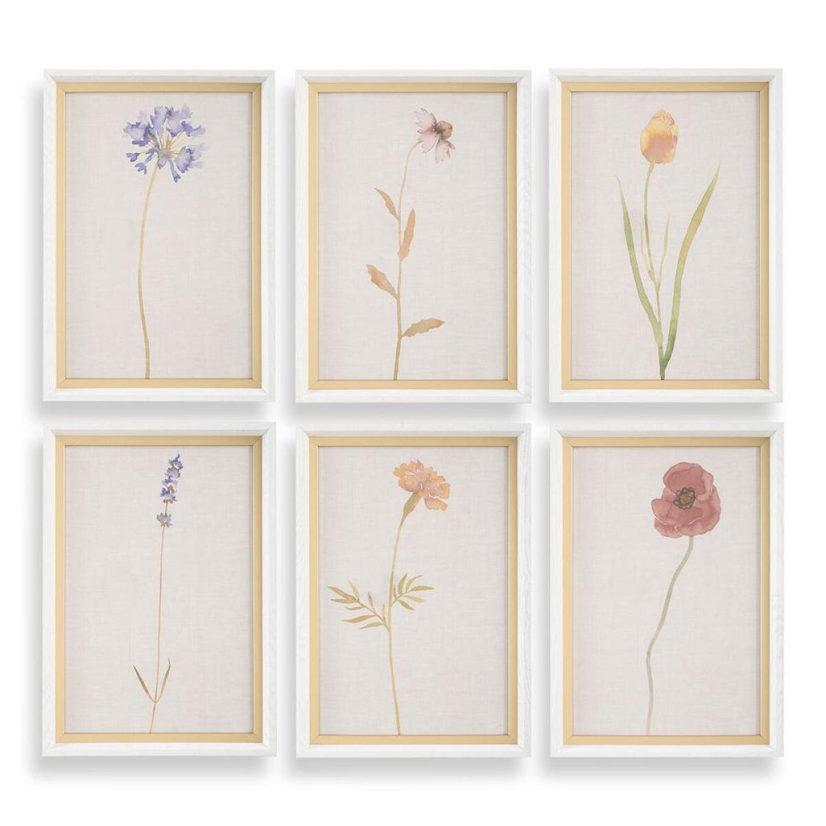 Wild Flourish Framed Prints, S/6 Art Art 2 Wild Flourish Framed Prints, S/6 Art Art 2