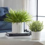 Edgewood Greenery, S/2 - Image 2