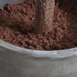 Eden Potted Fig Tree Accessories Accessories 11