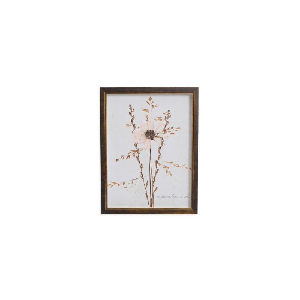 1d4972a24205f8206d1f748ed869f1da Sepia Pressed Wildflower I - Image 1