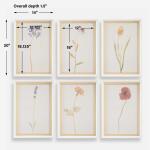 Wild Flourish Framed Prints, S/6 Art Art 15
