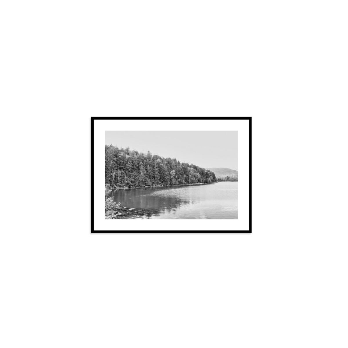 1e99ae5b9c60717f1b0c1d26d1ed0324 Acadia Tree Line - Image 1