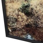 Wheeler - Image 3