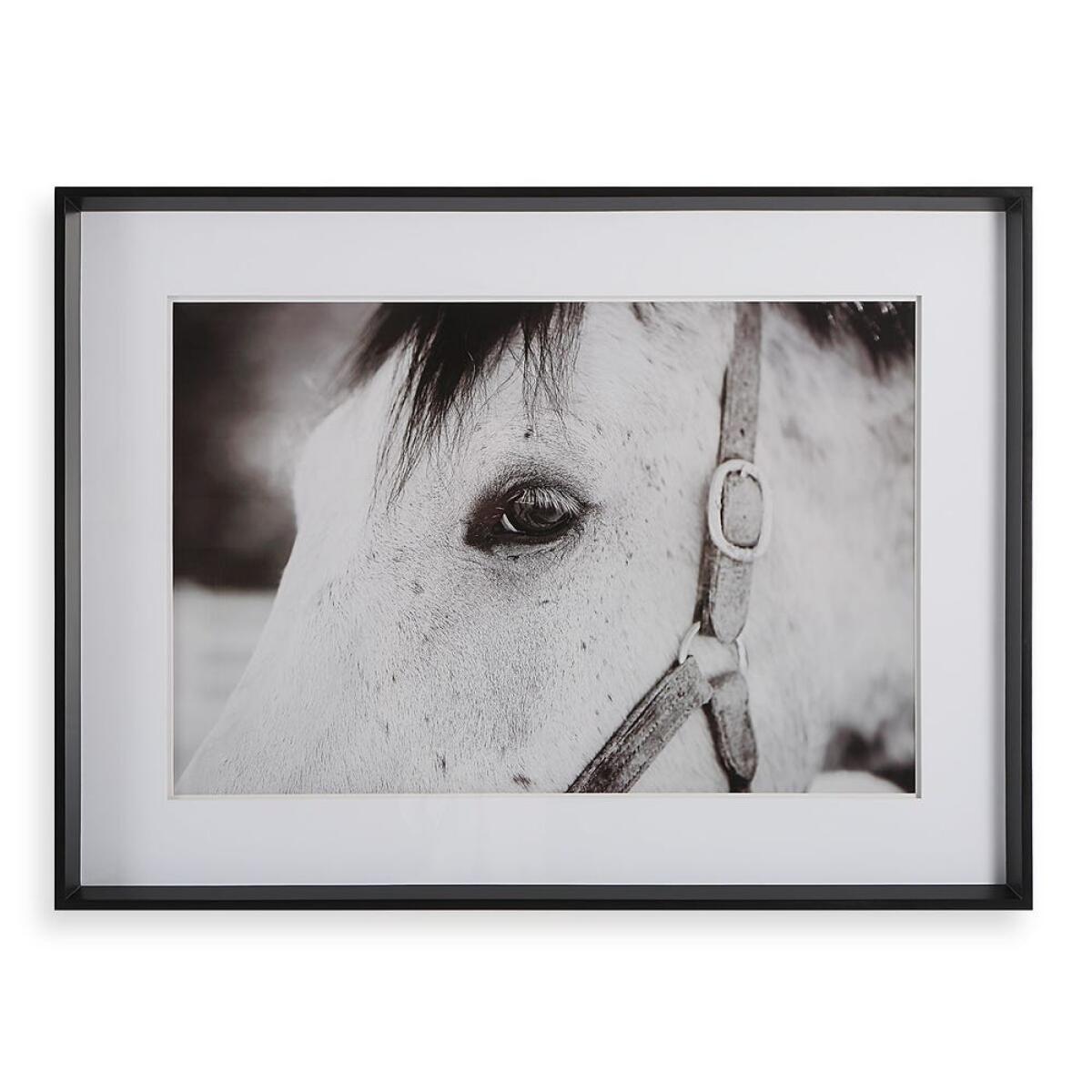 206d1ff9a7ddf008f95b74847d73b464 Eye Of The Beholder Framed Print - Image 1