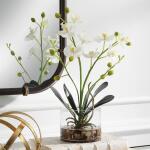 Glory Orchid, White - Image 6