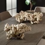 Elemental Root Indoor-outdoor Sculptures, S/2 - Image 10