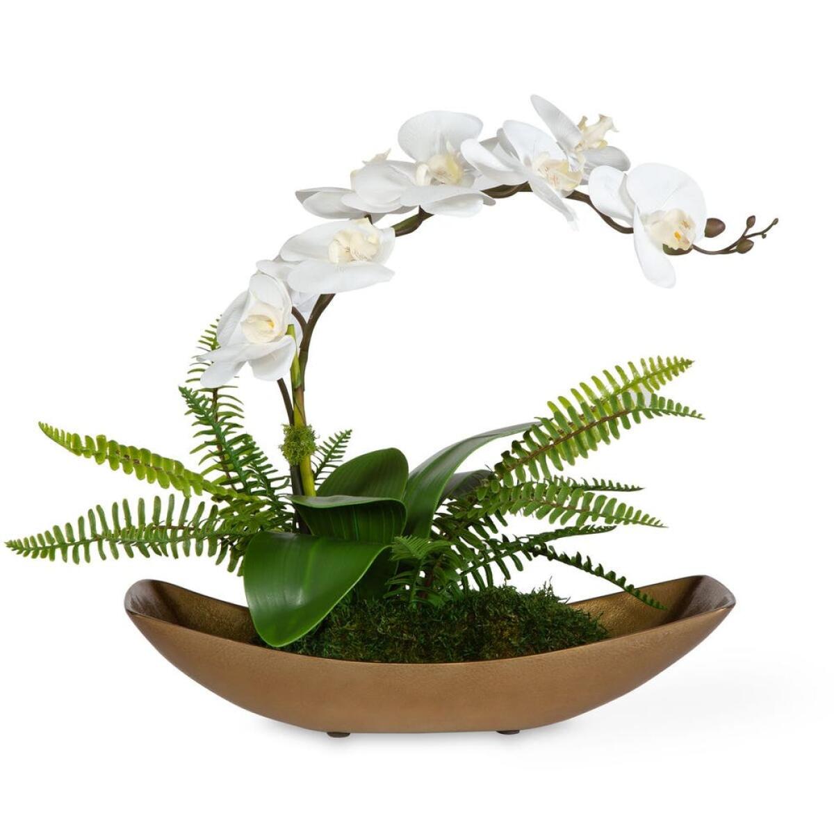 245a1bd1f5f0e97f40e5ca189e75b149 Transcend Orchid - Image 1