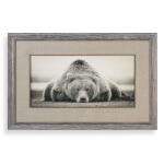 Deep Sleep Framed Print