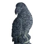 Parrott Statues Accessories Accessories 11