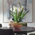 Moth Orchid Planter Accessories Accessories 10