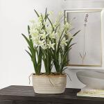 Ariana Orchid - Image 2