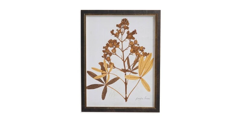 302599b1c40104ae7648d30146a0cf5c Sepia Holly Hock Buds - Image 1