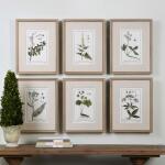 Green Floral Botanical Study Framed Prints, S/6 Art Art 8
