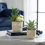 Seaside Succulents, S/2 - Image 3