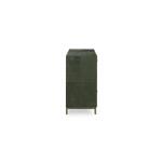 Caspian Accent Chest - Image 4