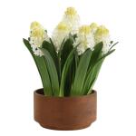 Sincerity Potted Hyacinth - Image 4