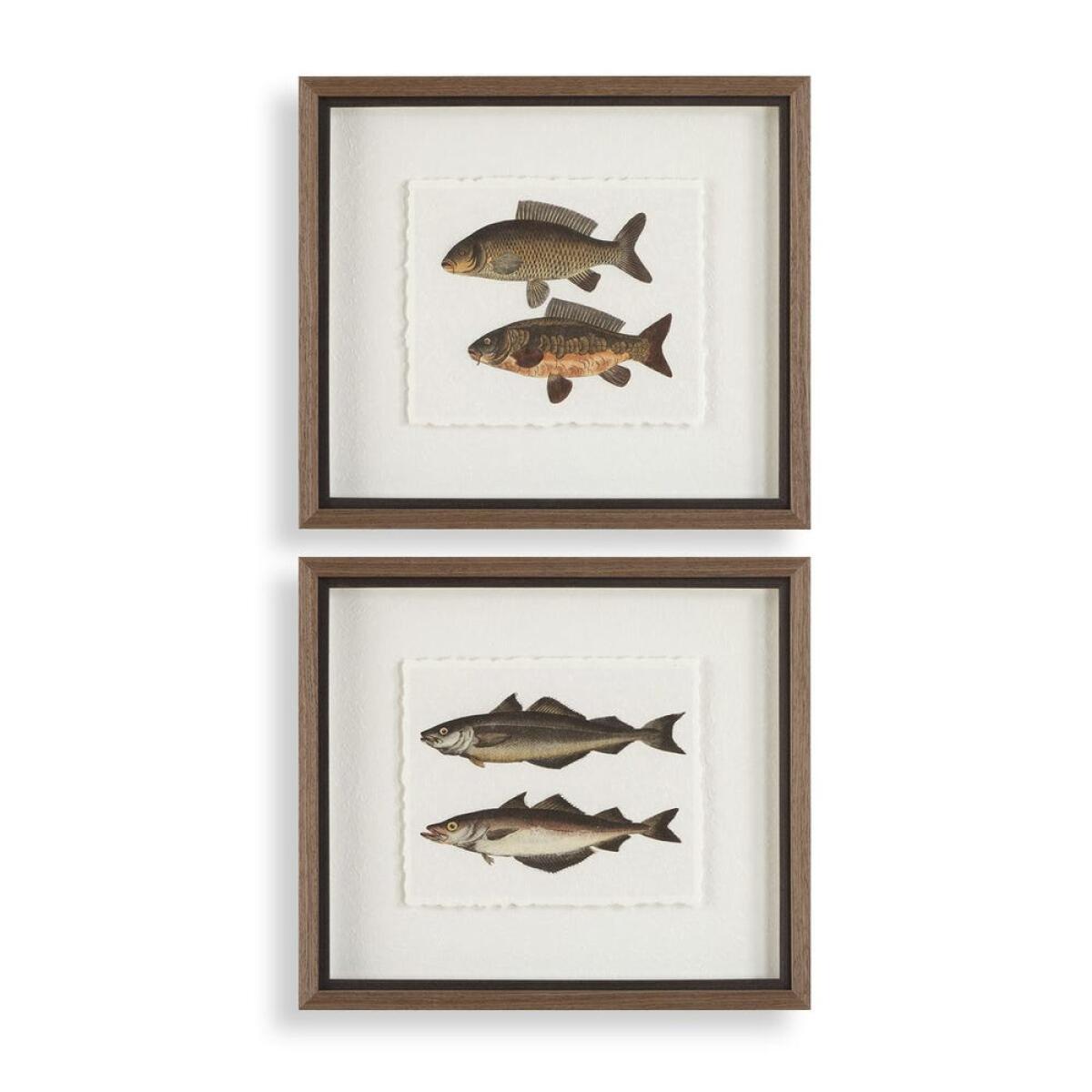 The Catch Framed Prints, S/2 Art Art 2 The Catch Framed Prints, S/2 Art Art 2