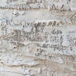 Desert Oasis Hand Painted Canvas - Image 6