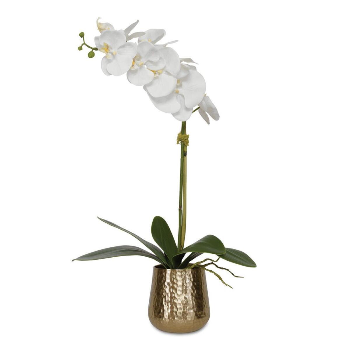 348511702e46a2ffb6ffba3e1eb08d4f Cami Orchid, Brass - Image 1