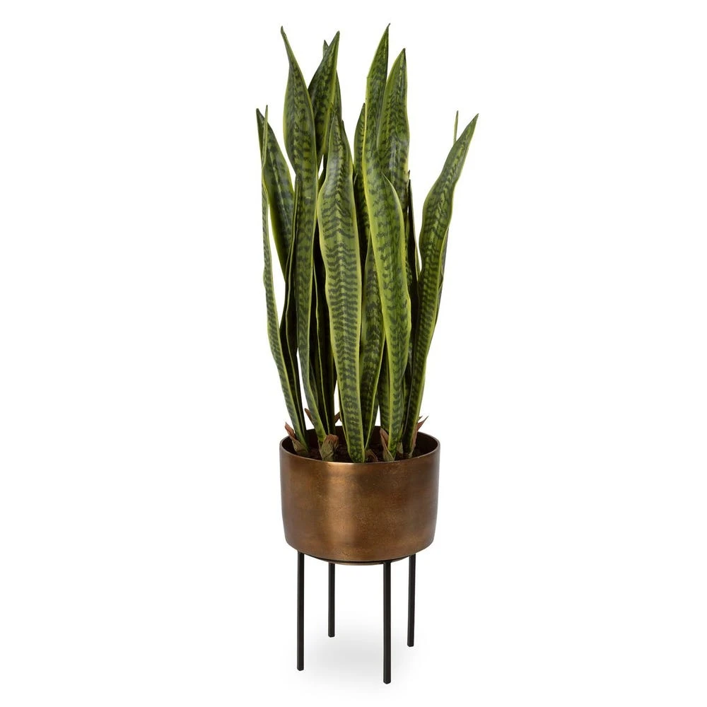 36df75985970612bbfca7208cf3797e2 Fasita Planter, 2 Cartons - Image 1