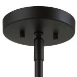 Saugus, 1 Lt Pendant Lighting Black 19