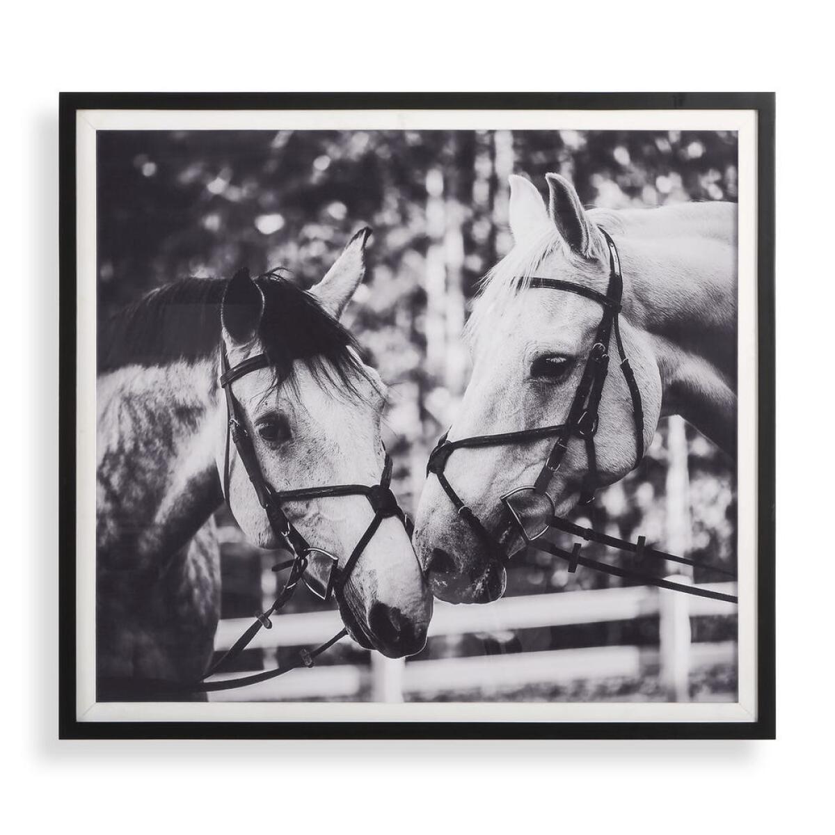 Apple Of My Eye Framed Print Art Art 2 Apple Of My Eye Framed Print Art Art 2