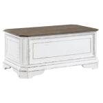 Magnolia Manor Storage Trunk - Image 2