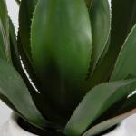 Tierra Agave Centerpiece - Image 4