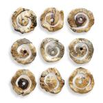 Corkscrew Wood Wall Decor, S/9 - Image 6