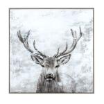 BUCK - Image 6