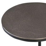 Brunei Accent Table, Nickel - Image 5