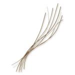 Escape-Coastal Living Home Collection Hamptons Dining Chair Chairs & Benches Chairs & Benches 16