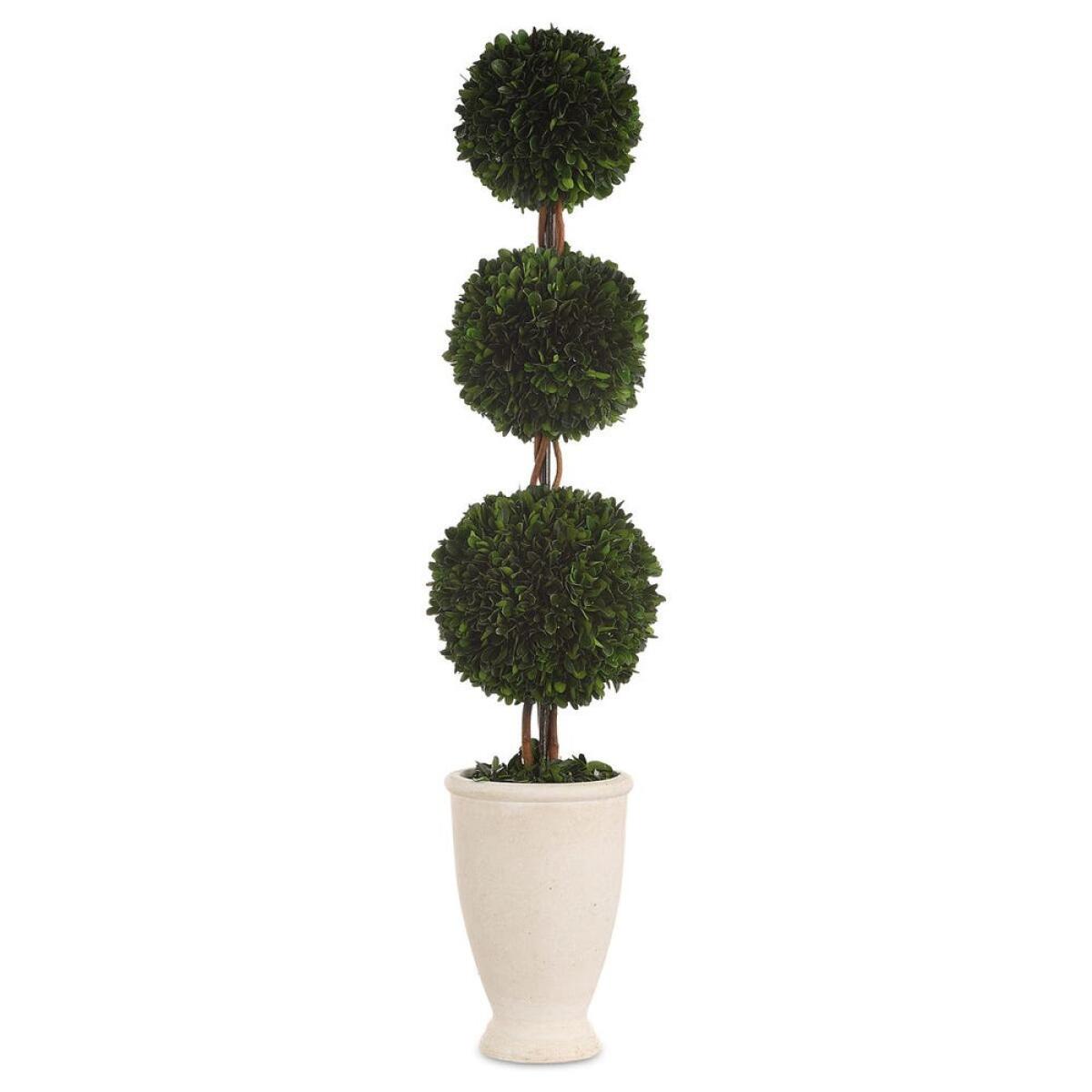 454144a308cb179b3eceb7a2f6592937 Preserved Boxwood Triple Topiary - Image 1