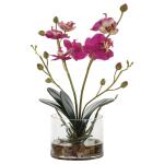 Glory Orchid, Fuschia Accessories Accessories 16