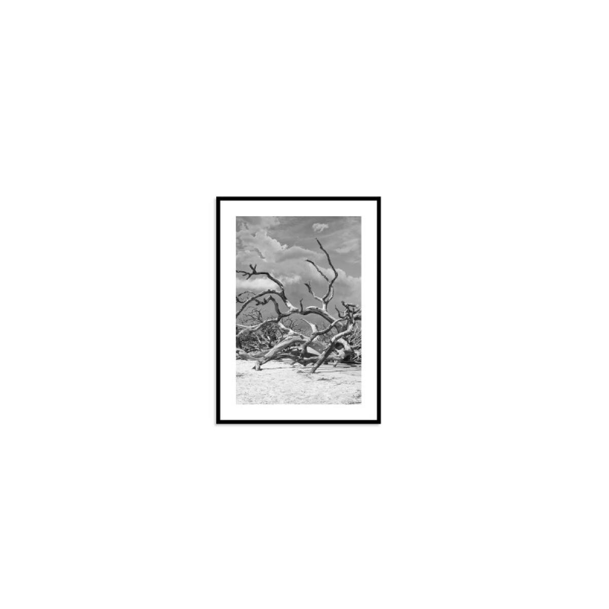 45a256737405f697e5788a8833c5c9b5 Jekyll Island - Image 1