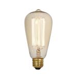 Edison Bulb I