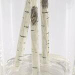 Nigra Birch Centerpiece - Image 6